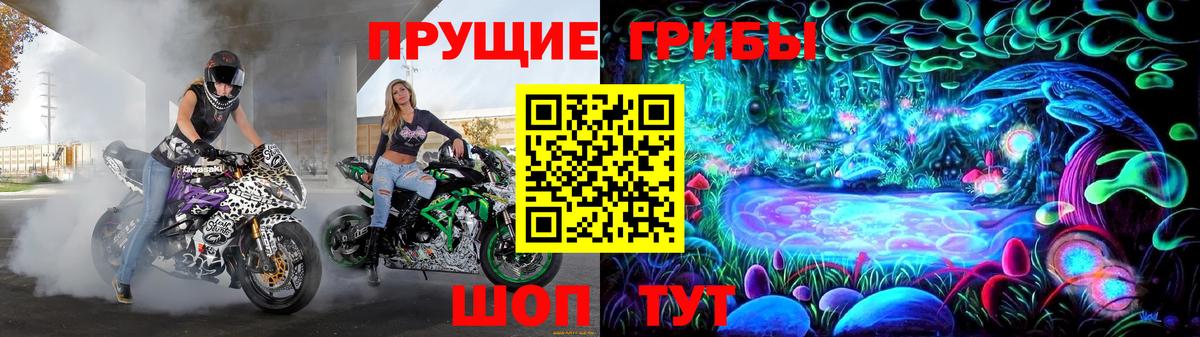 Сызрань  Псилоцибиновые грибы Magic Shrooms  Псилоцибиновые грибы MAGIC MUSHROOMS  Вход с VPN 
