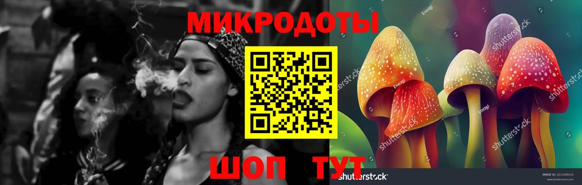 Псилоцибиновые грибы Psilocybine cubensis Сызрань